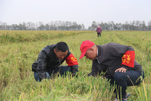 /gb2312/qishiyegonghui/11127.html
